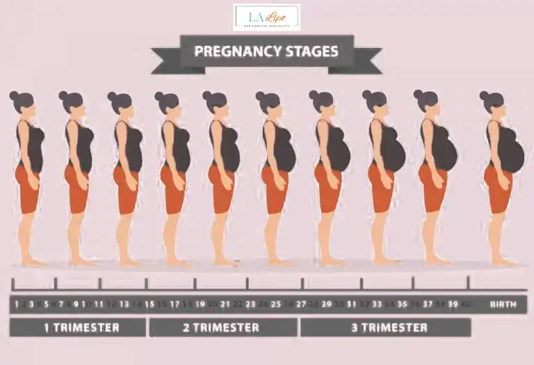 First Trimester (Weeks 1–12): Early Changes You Might Not Notice Merseyside